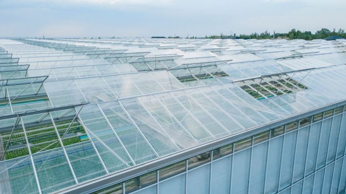 Tại sao lại sử dụng tấm nhựa polycarbonate làm nhà kính? 2 Tấm nhựa polycarbonate làm nhà kính